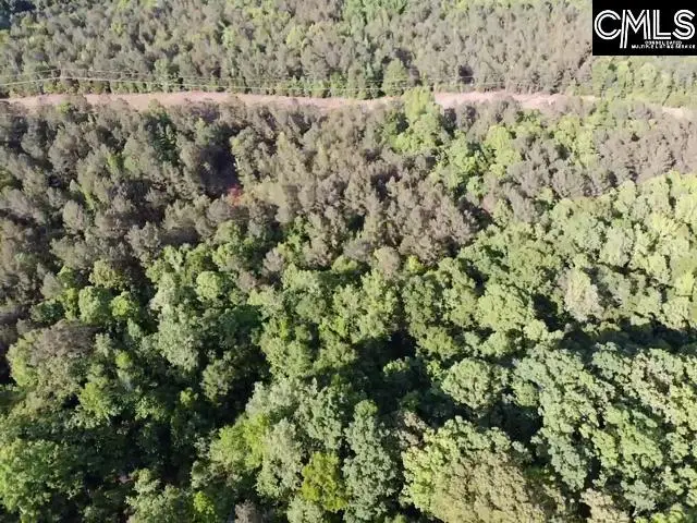 0 Macedonia Church Road, Prosperity, SC 29127 - #3