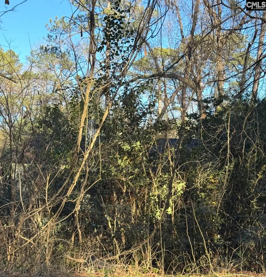 1522 Jerome Drive, Columbia, SC 29203 - #2