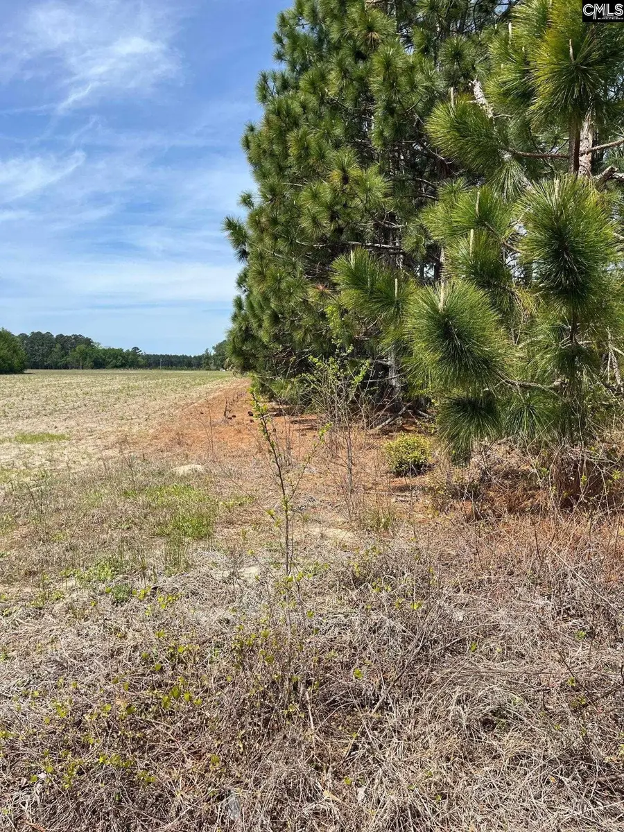 CA 5 Mt. Calvary Road, Ridge Spring, SC 29129 - #3