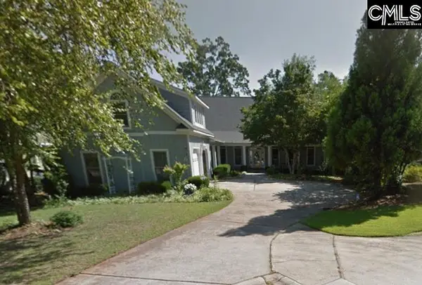 637 Webster Pointe Drive, Chapin, SC 29036