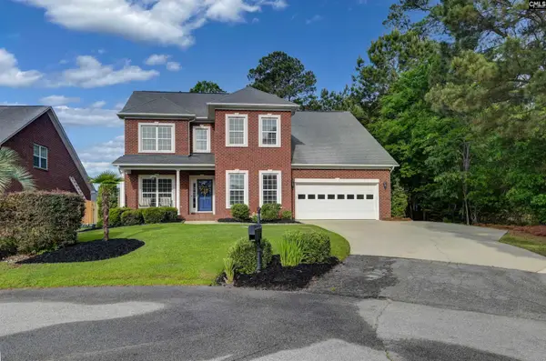 123 Jasmine Bay Lane, Chapin, SC 29036