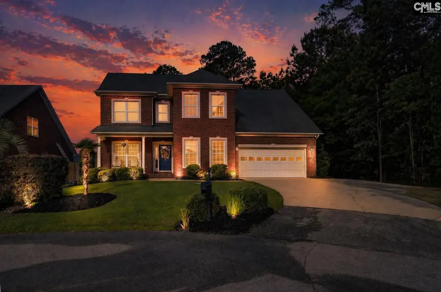 123 Jasmine Bay Lane, Chapin, SC 29036 - #3