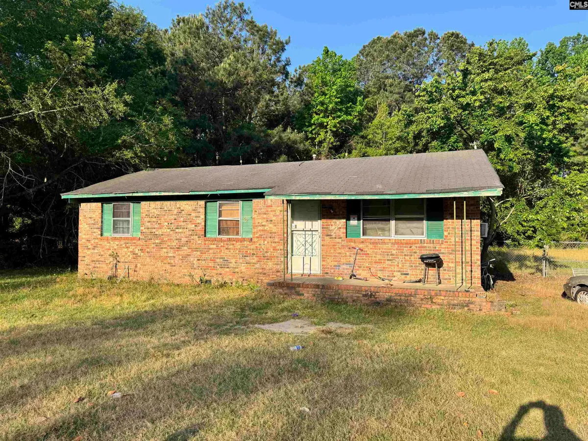 42 Sugar Hill Drive, Bishopville, SC 29010 - #1