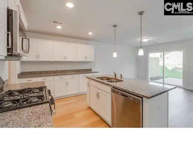 312 Reedmace Court, Lexington, SC 29072 - #3