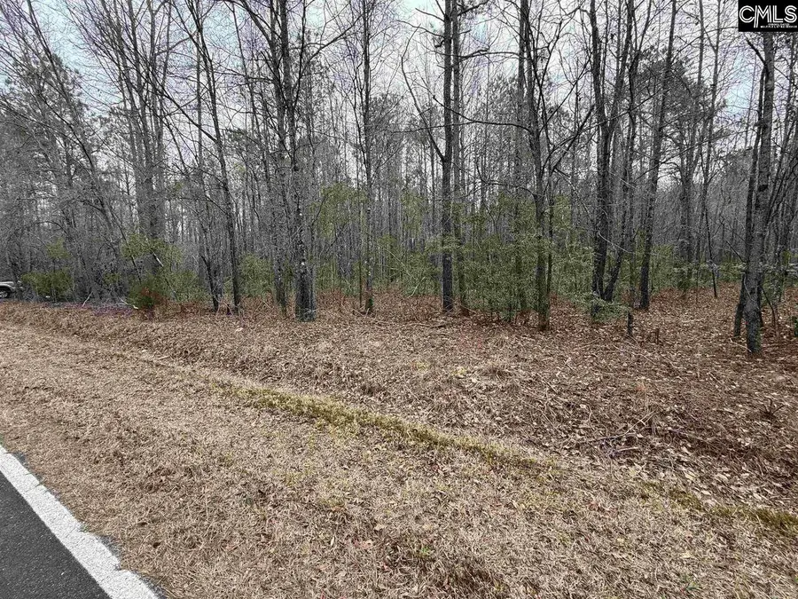1644 Pincushion Road, Columbia, SC 29209 - #2