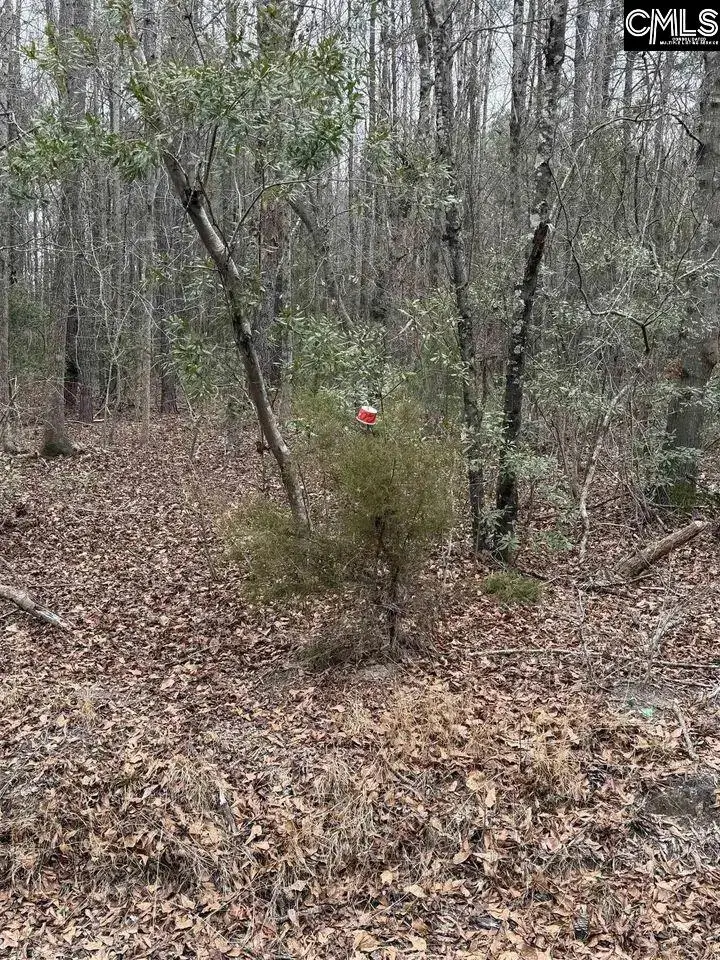 1644 Pincushion Road, Columbia, SC 29209 - #3