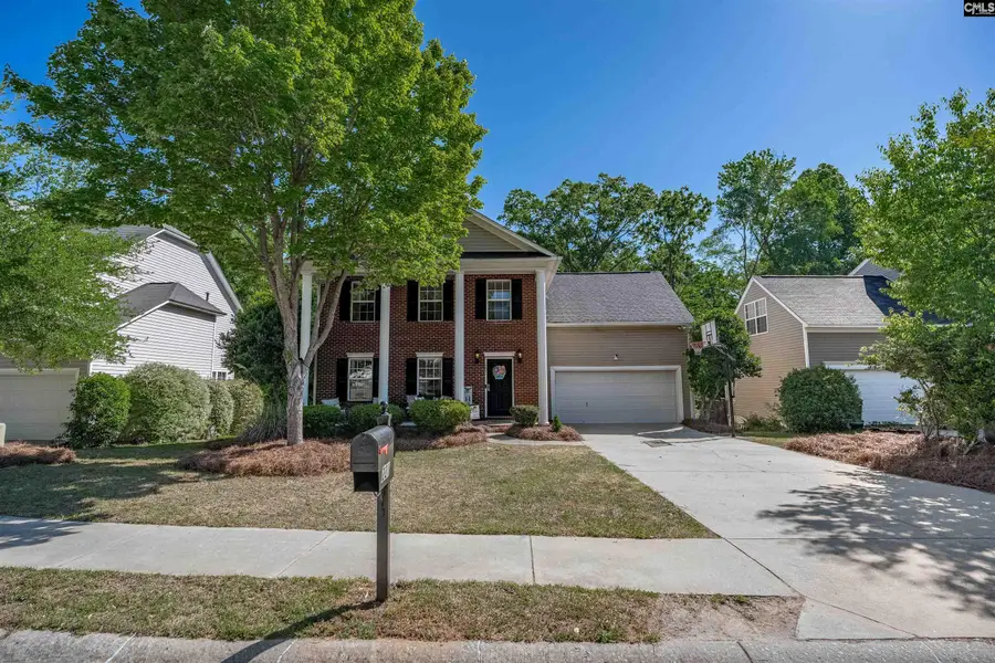 221 Foxport Drive, Chapin, SC 29036 - #2