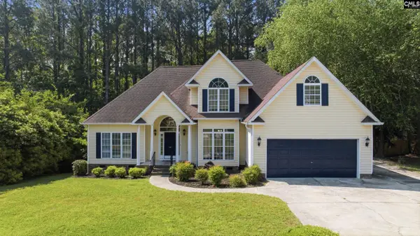 116 Rum Gully Lane, Chapin, SC 29036