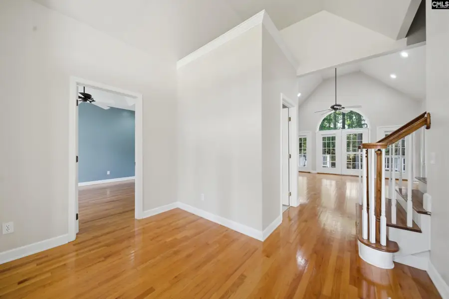 116 Rum Gully Lane, Chapin, SC 29036 - #2