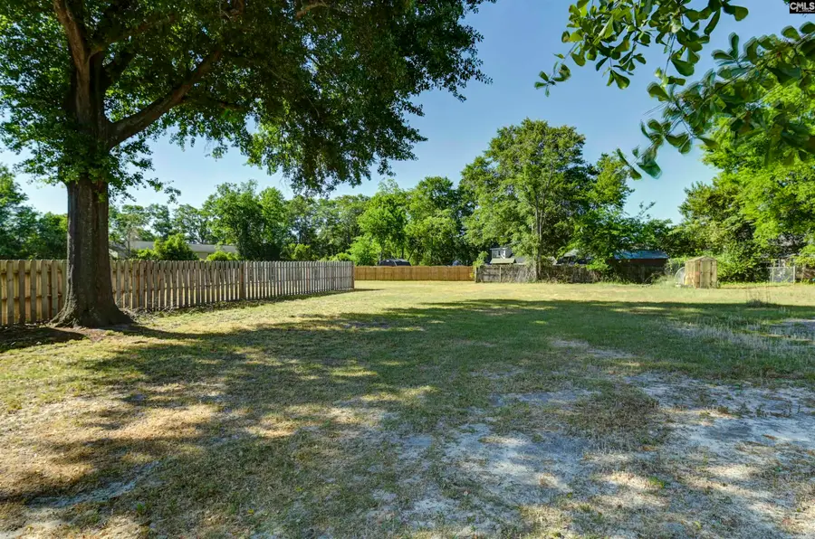407 Hendrix Street, Lexington, SC 29072 - #3