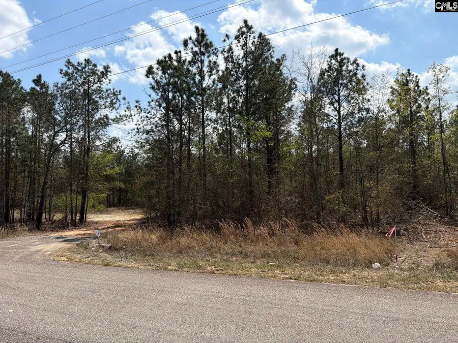 CA 8 Mt. Calvary Road, Ridge Spring, SC 29129 - #2