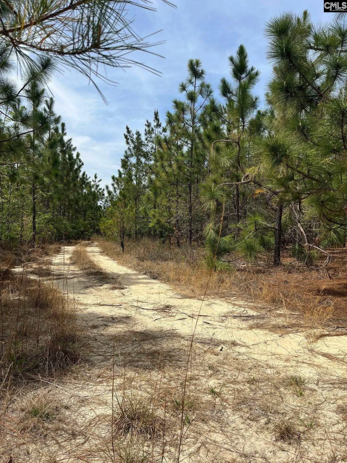 CA 9 Mt. Calvary Road, Ridge Spring, SC 29129 - #1