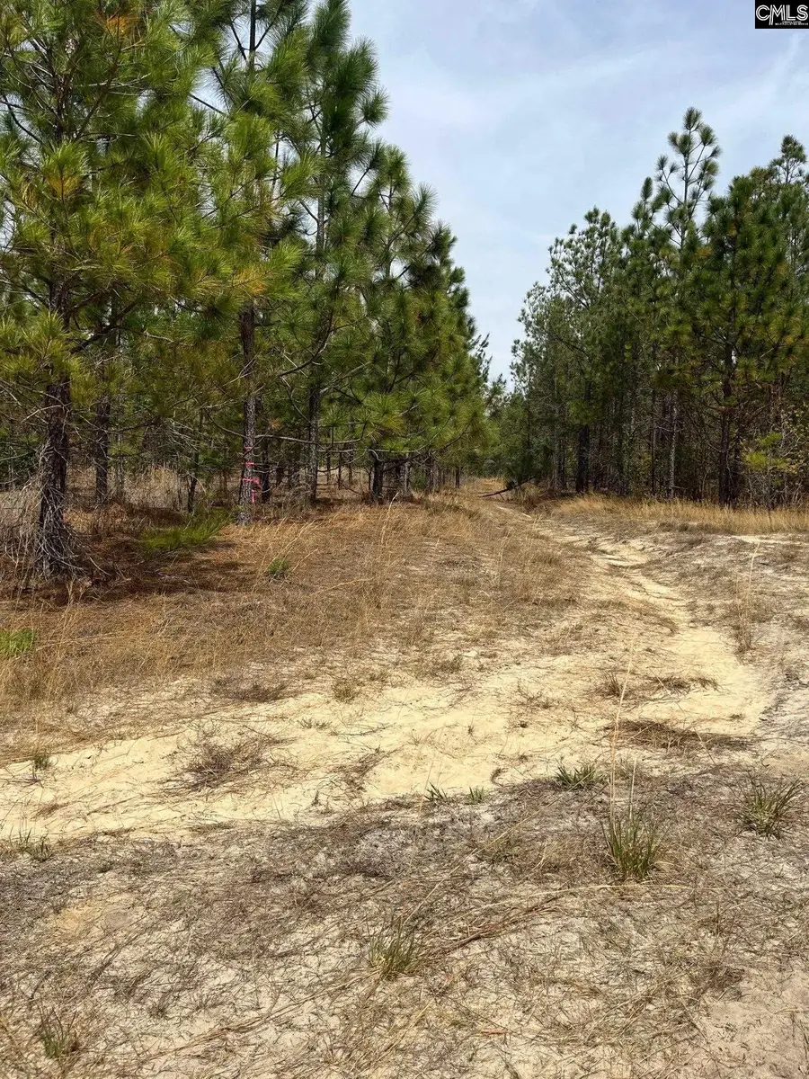 CA 9 Mt. Calvary Road, Ridge Spring, SC 29129 - #2