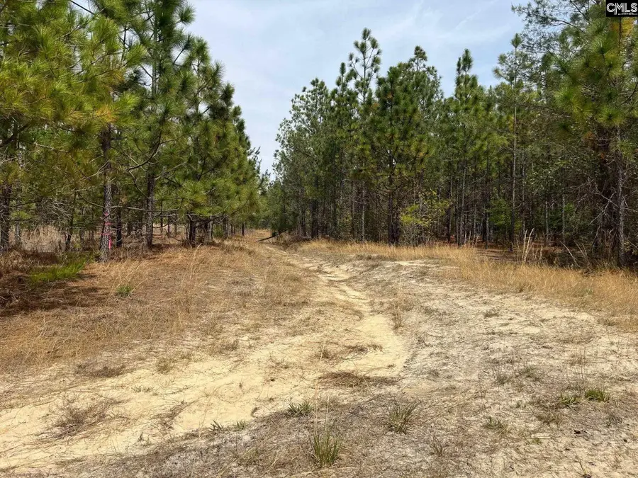 CA 9 Mt. Calvary Road, Ridge Spring, SC 29129 - #3