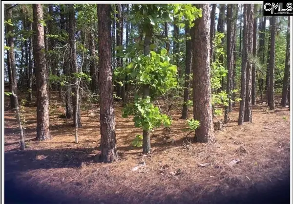 N/S Percival Road, Columbia, SC 29229