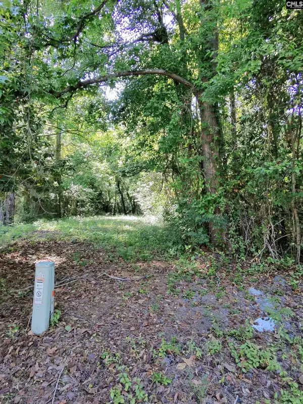 TBD Lang Road, Columbia, SC 29204