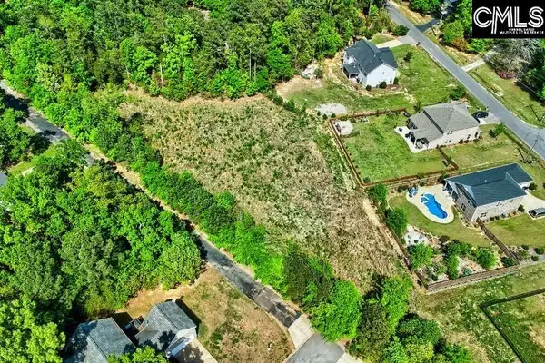 109 Carrituck Court, Chapin, SC 29036