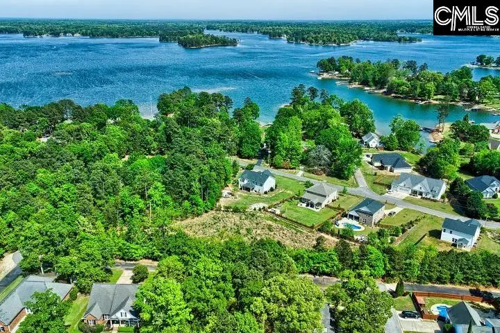 109 Carrituck Court, Chapin, SC 29036 - #3