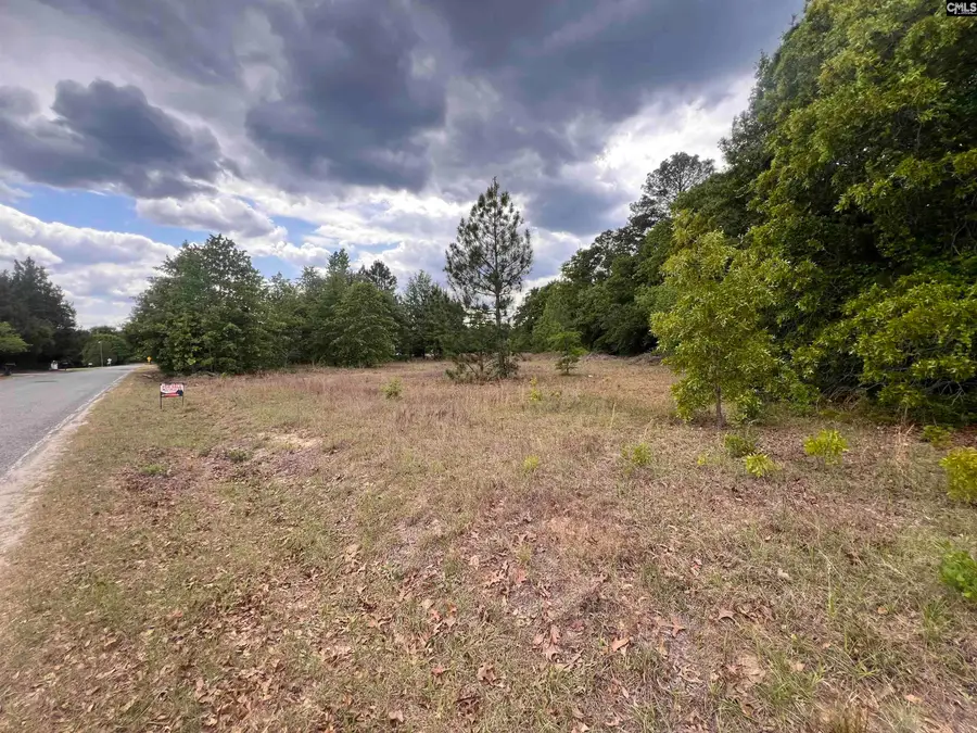 1169 Pine Street, West Columbia, SC 29172 - #3