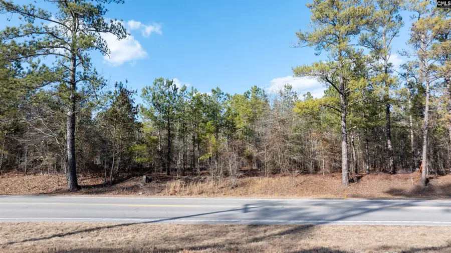 791 Langford Road, Blythewood, SC 29016 - #3