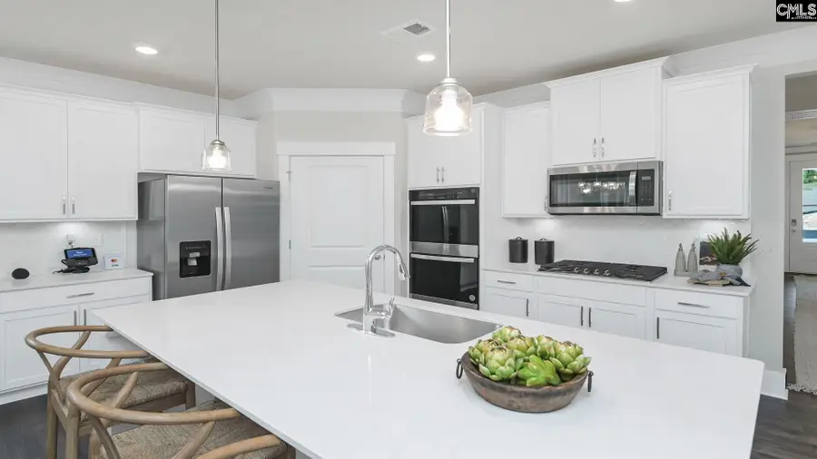 407 Leathertree Lane, Blythewood, SC 29016 - #3