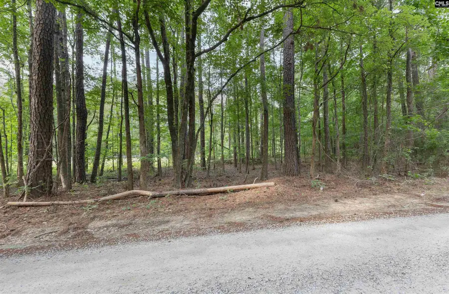 TBD St. Peters Church Road, Chapin, SC 29036 - #3