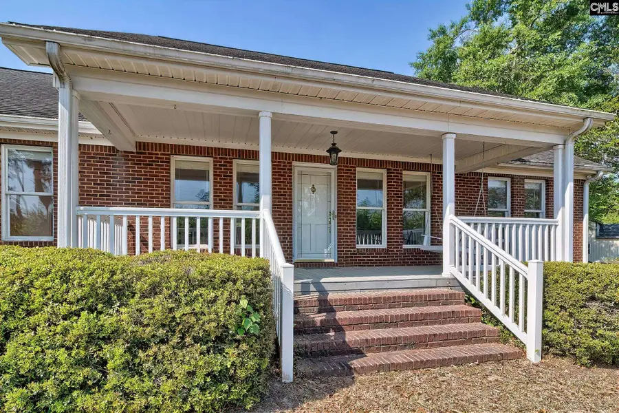 133 Pleasant Home Road, Blackville, SC 29817 - #3