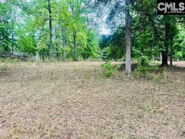 1172 Lake Drive, Leesville, SC 29070 - #1