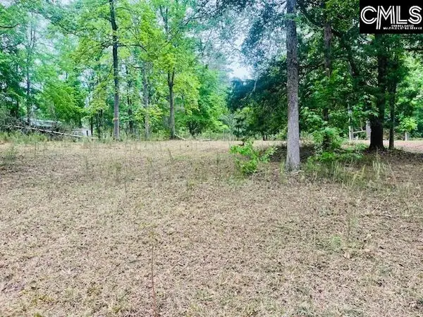 1172 Lake Drive, Leesville, SC 29070