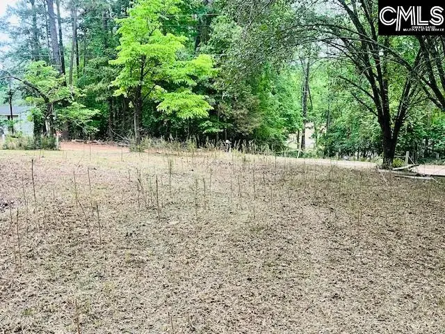 1172 Lake Drive, Leesville, SC 29070 - #3