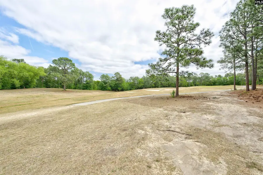 25 Baldur Court, Columbia, SC 29223 - #3