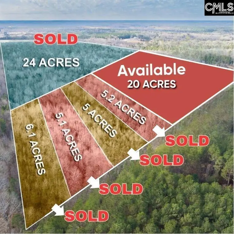 Plum Branch Road, Saluda, SC 29138 - #1