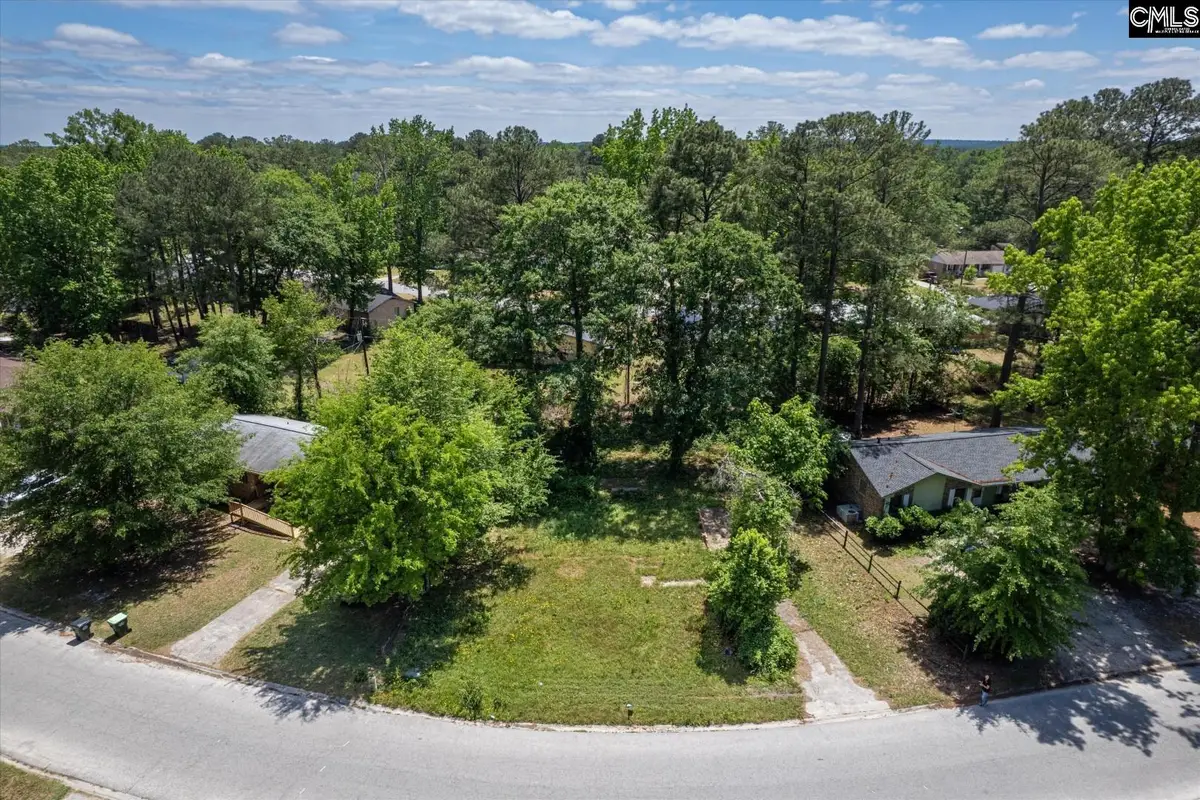 320 Creighton Drive, West Columbia, SC 29172 - #1