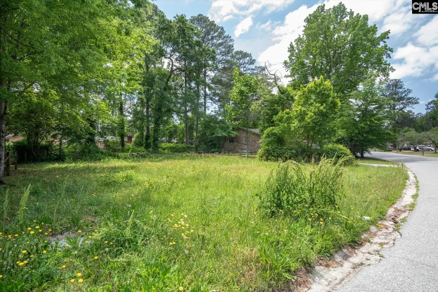 320 Creighton Drive, West Columbia, SC 29172 - #3