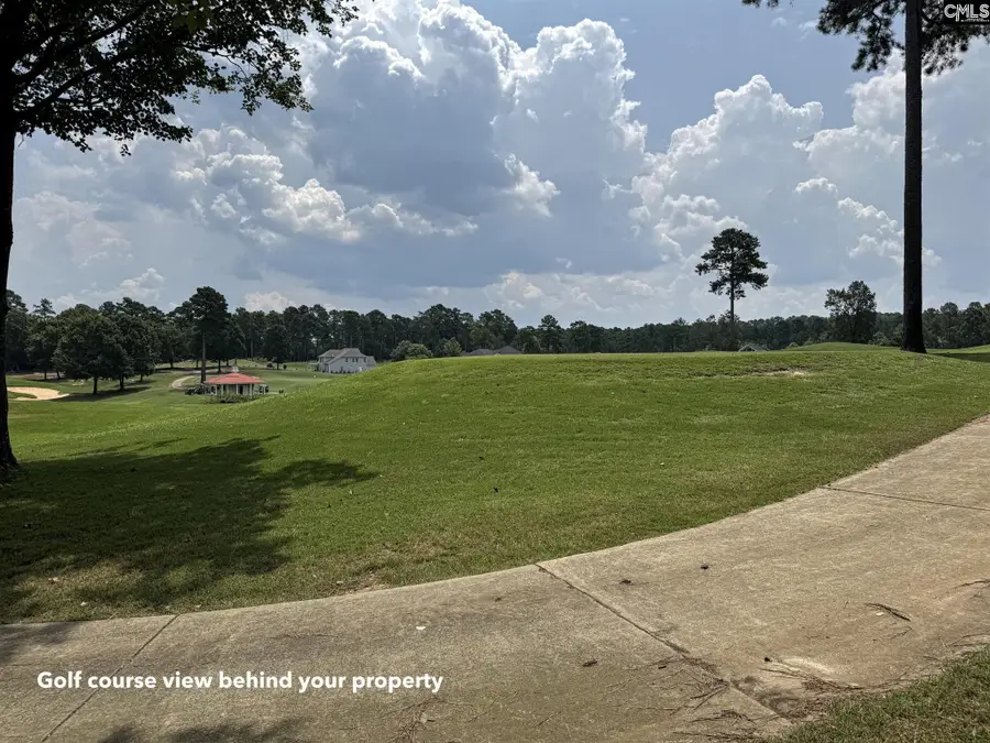 1240 Coogler Crossing Drive, Blythewood, SC 29016 - #3