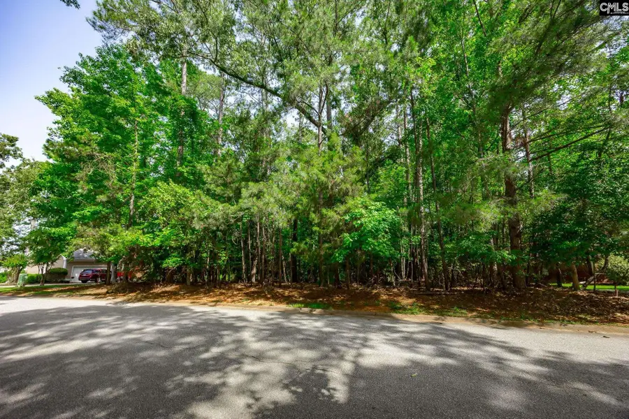 506 Timberlake Drive, Chapin, SC 29036 - #3
