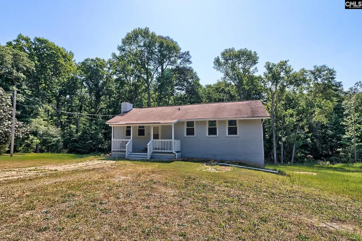 1133 Old Hilton Road, Chapin, SC 29036 - #1