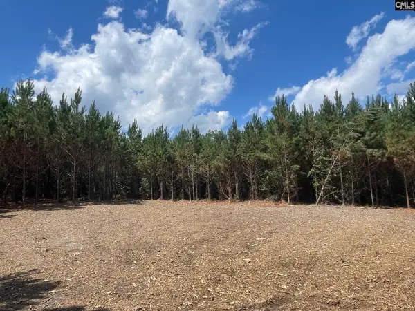 00 Lake Elliot Road, Cassatt, SC 29032