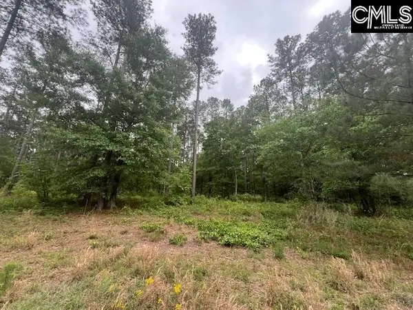 Fox Young Road, Wagener, SC 29164