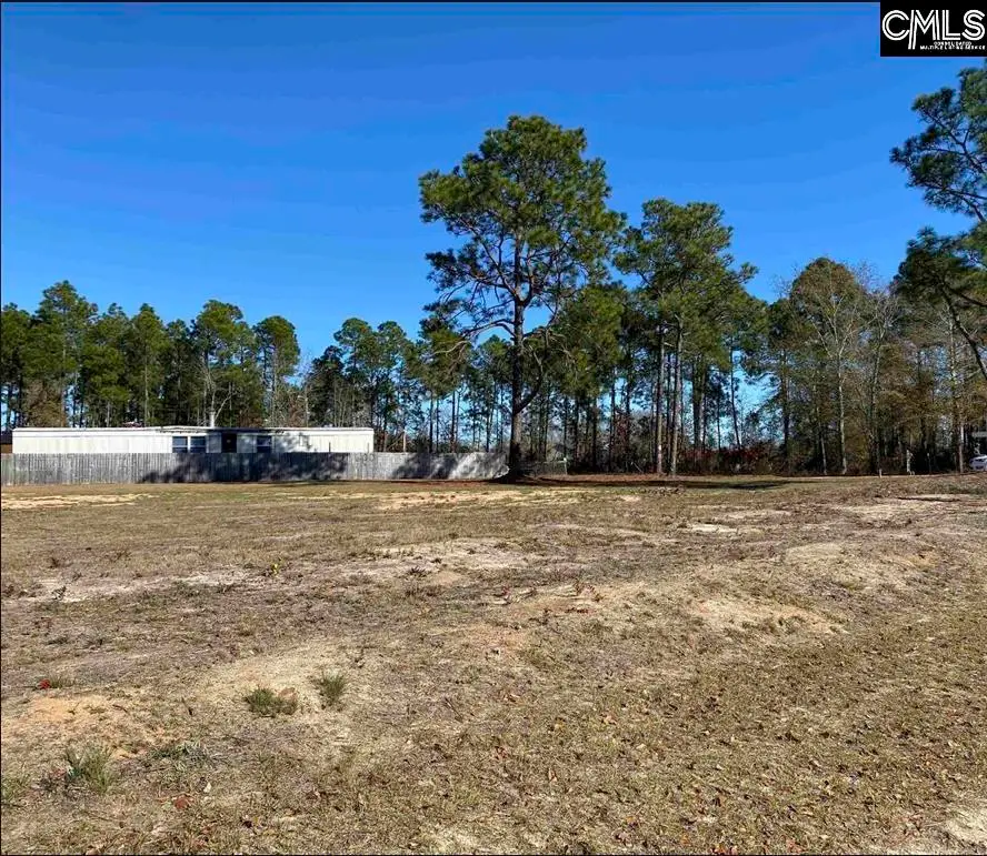 548 Truex Road, Leesville, SC 29070 - #3