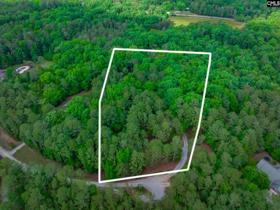 151 Eagle Chase Court, Chapin, SC 29036 - #2
