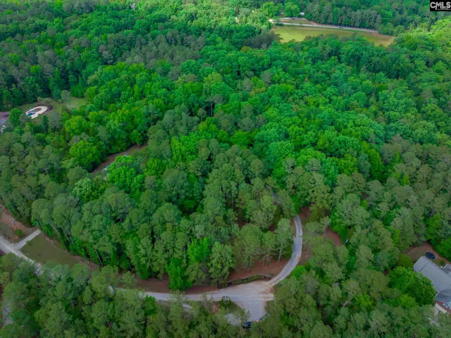 151 Eagle Chase Court, Chapin, SC 29036 - #3