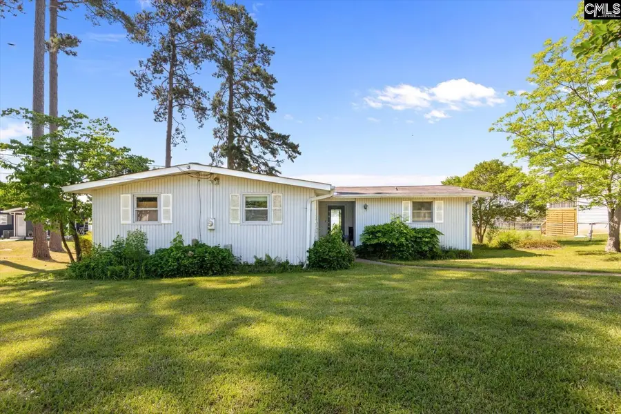 133 Williams Way, Chapin, SC 29036 - #3