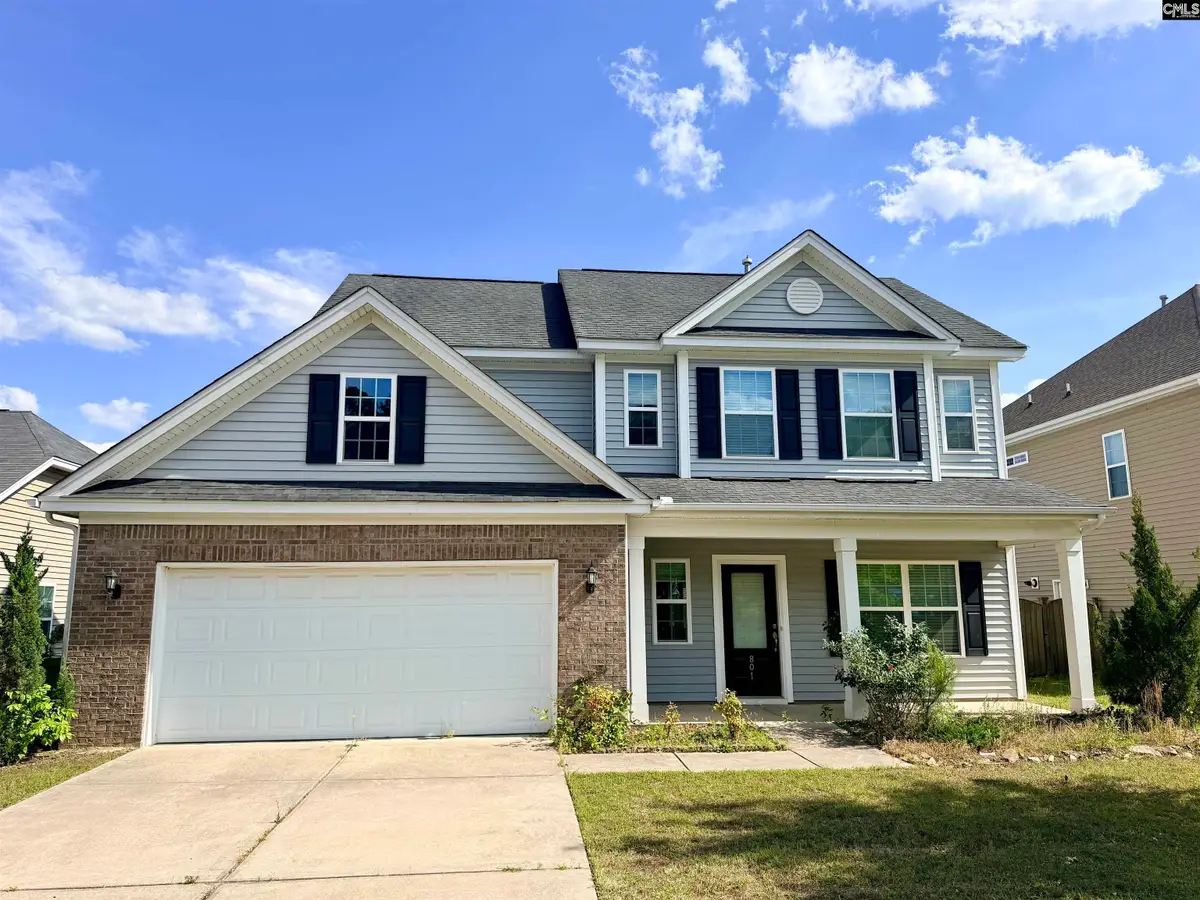 801 Kimsey Drive, Chapin, SC 29036 - #1