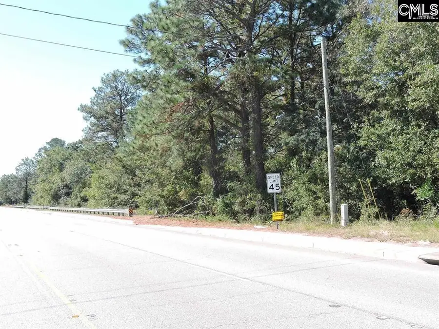 1250 South Lake Dr., Lexington, SC 29073 - #2