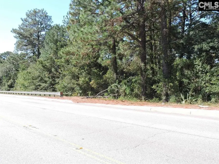 1250 South Lake Dr., Lexington, SC 29073 - #3