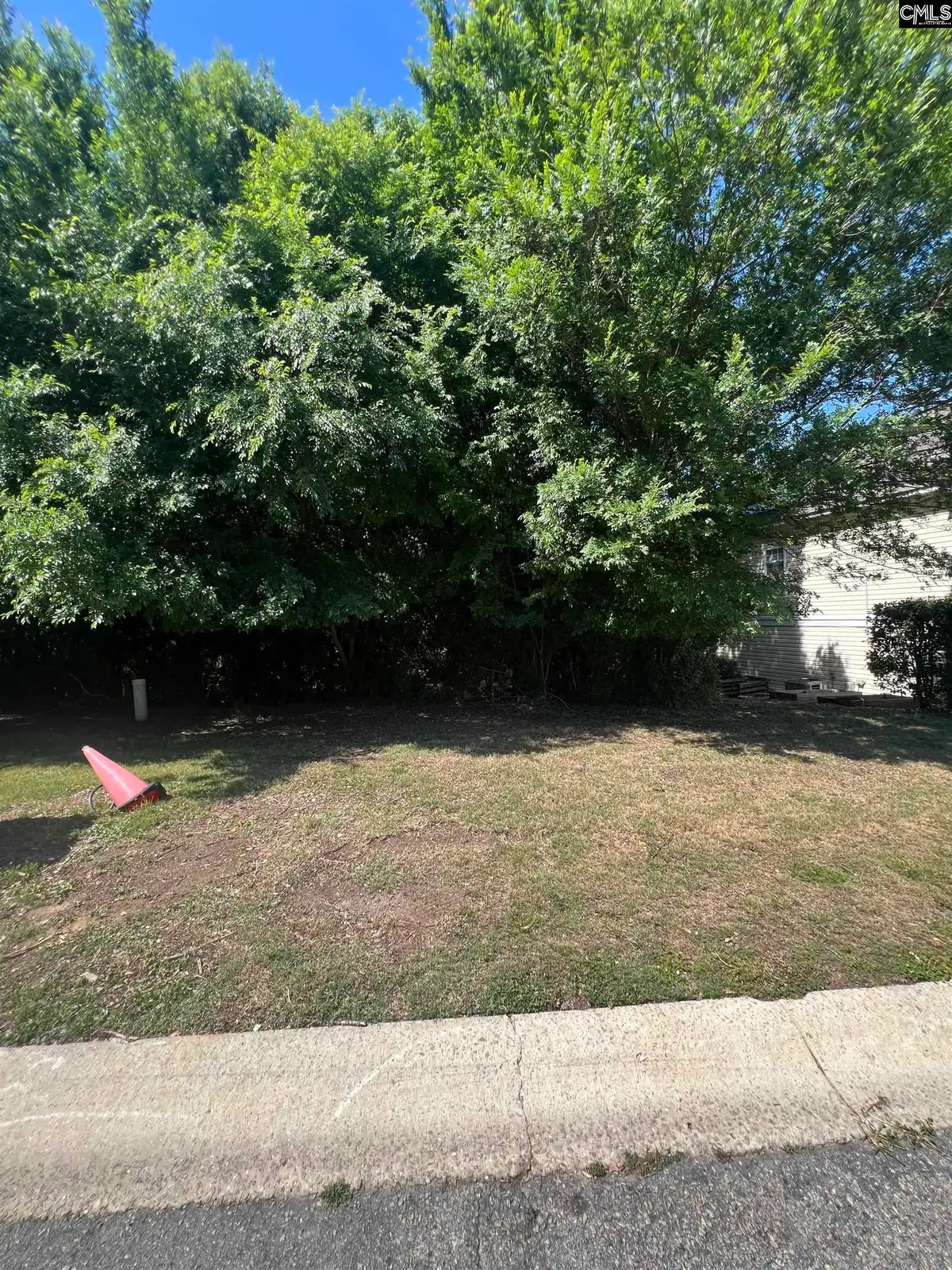 357 Canal Place Drive, Columbia, SC 29201 - #1