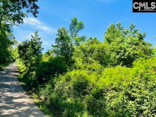 TBD Timberlane Road, Leesville, SC 29070 - #1