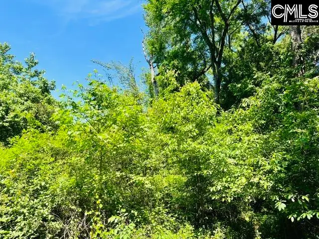 TBD Timberlane Road, Leesville, SC 29070 - #2