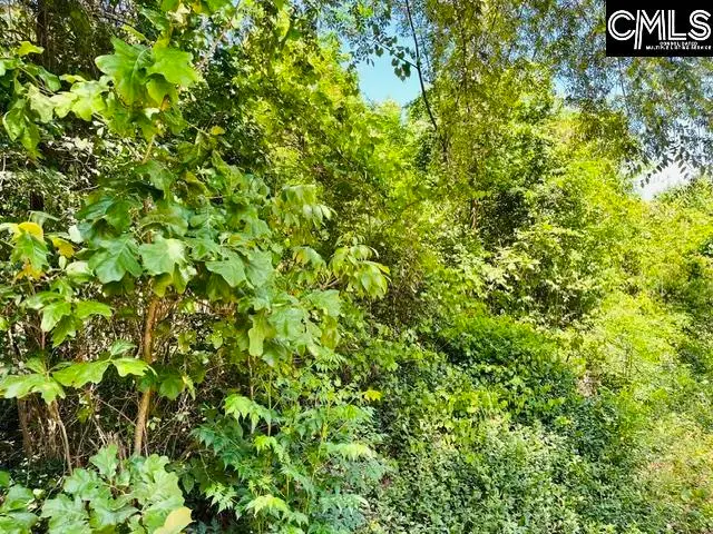 TBD Timberlane Road, Leesville, SC 29070 - #3